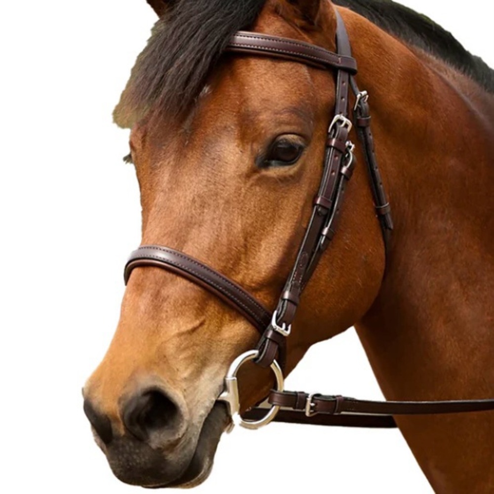 NUNN FINER SIZE COB EVENT BRIDLE HAVANA WITH NICKEL HARDWARE ~ REINS INCLUDED